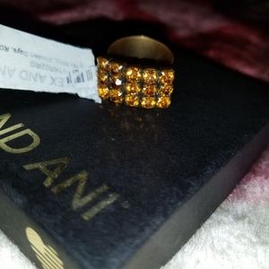 Alex and ani citrine